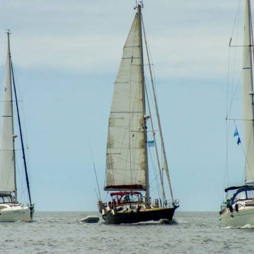 30 barcos peregrinan a Compostela no III Roteiro Rías Baixas Isonor