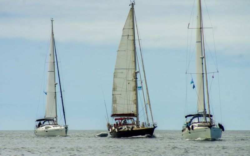 30 barcos peregrinan a Compostela no III Roteiro Rías Baixas Isonor