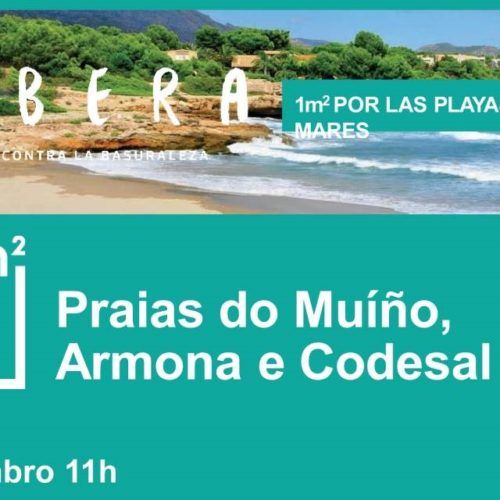 A Guarda participa no proxecto de limpeza de praias