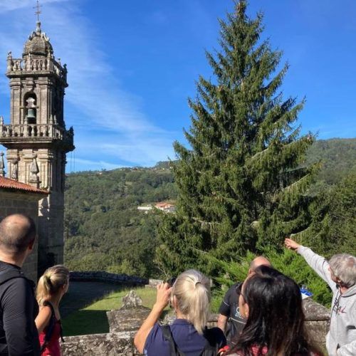 A Vía Mariana e o Castelo do Faro atraen a ducias de visitantes a Covelo