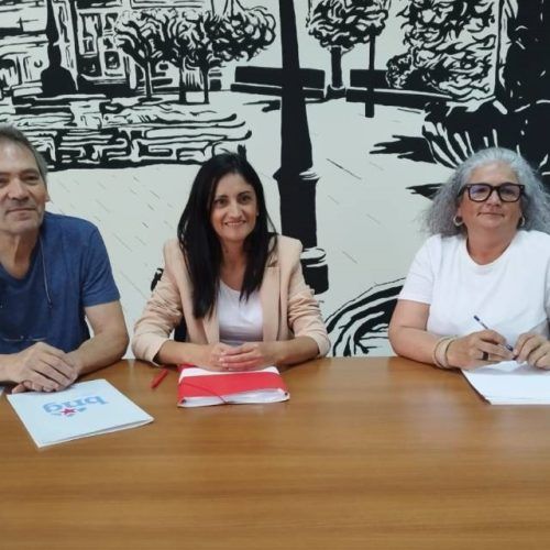 PSOE e BNG Salceda critican ao MS polas súas informacións sobre os plenos municipais