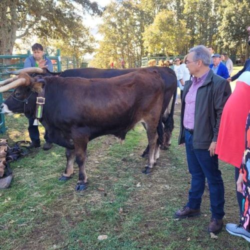 Crianza Trevinca mantén viva a tradición rural