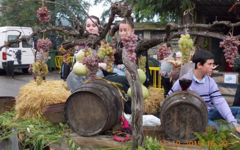 Arbo celebrará a XLIX Festa da Colleita