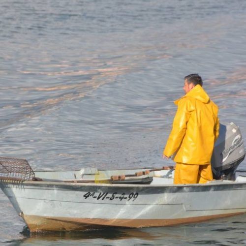 Xunta de Galicia destina 18 M€ para o sector pesqueiro