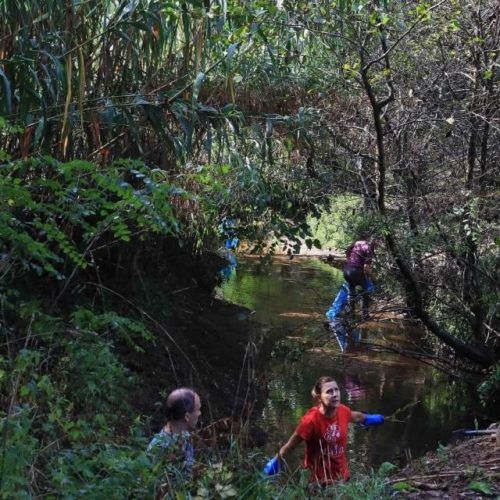 Limpeza integral no río Couso do Porriño