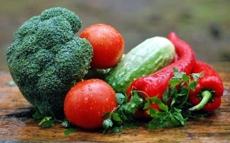 O futuro da alimentación, a debate en Compostela