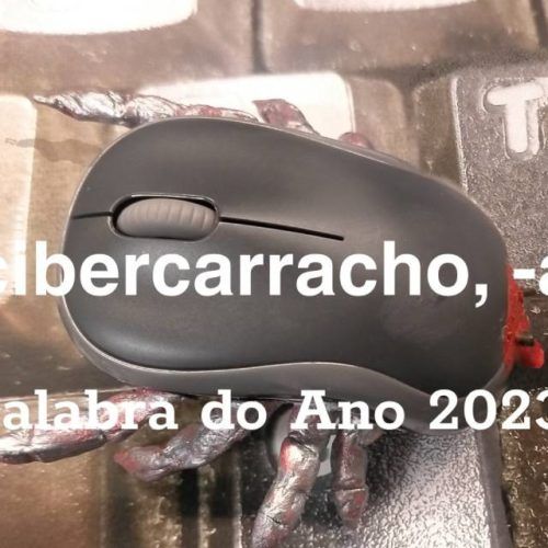 “Cibercarracho, -a”, Palabra do Ano 2023
