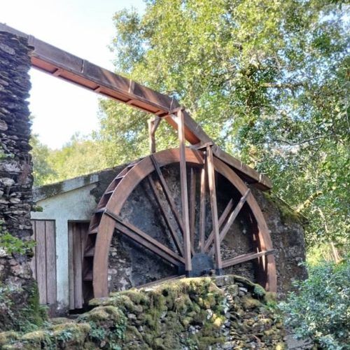 Xornada de portas abertas para coñecer o Serradoiro dos Carranos