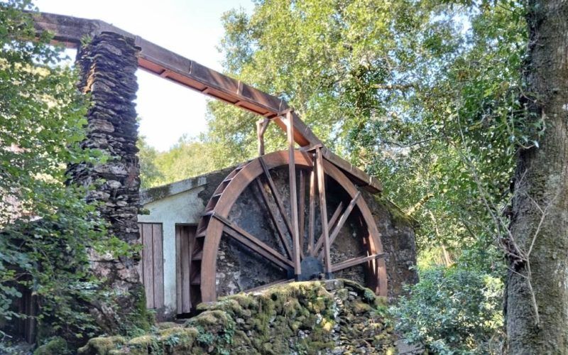 Xornada de portas abertas para coñecer o Serradoiro dos Carranos