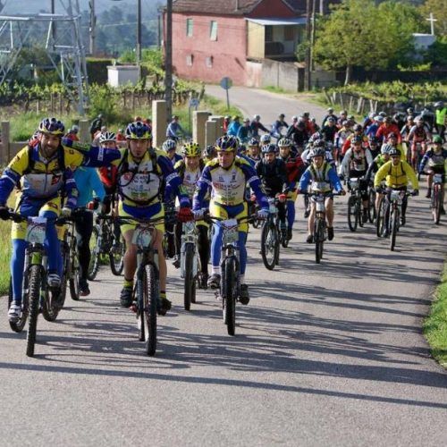 VIII Marcha BTT da Lamprea en Arbo