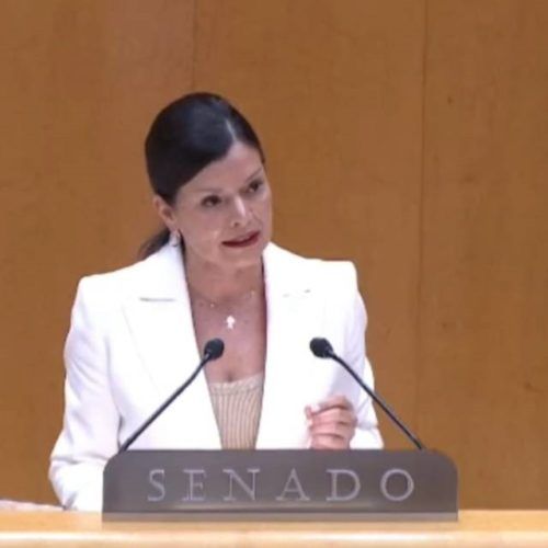 Nidia Arévalo denuncia no Senado o “atraso de Galicia en infraestruturas”