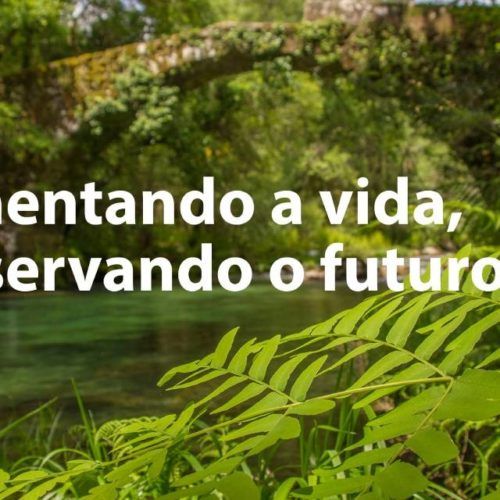 Curso de citricultura ecolóxica do GDR Terra e Auga