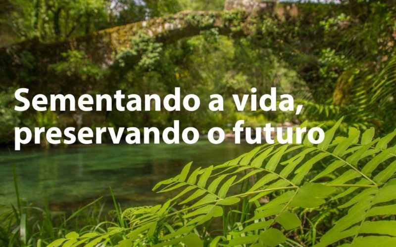 Curso de citricultura ecolóxica do GDR Terra e Auga