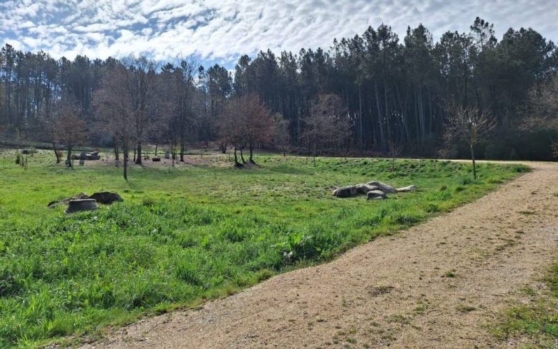 O Pereiro de Aguiar cede terreos para a ampliación do colexio