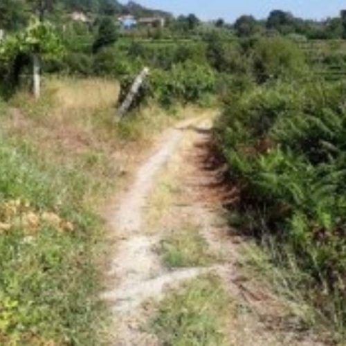 Arbo mellorará a estrada de Casanova en Mourentán
