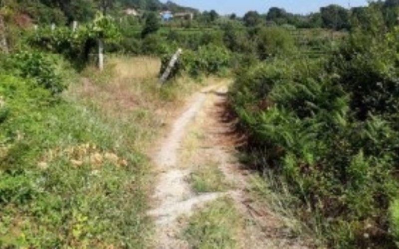 Arbo mellorará a estrada de Casanova en Mourentán