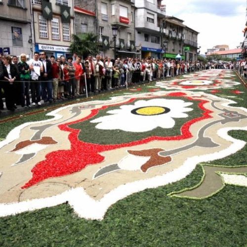 O Ateneo Amado Garra amosa a súa preocupación polo impacto sobre as alfombras do novo valado adquirido polo Concello de Ponteareas