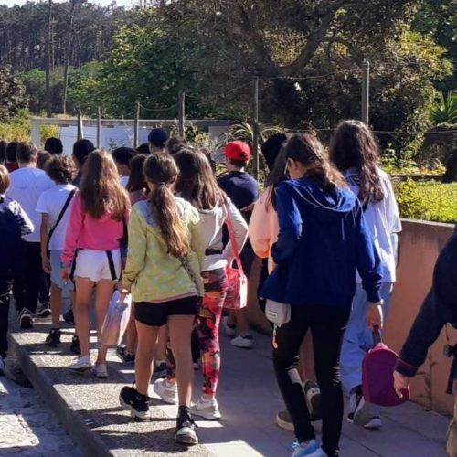 Proxecto Emc2 para dar a coñecer as perlas do Atlántico “as camariñas”