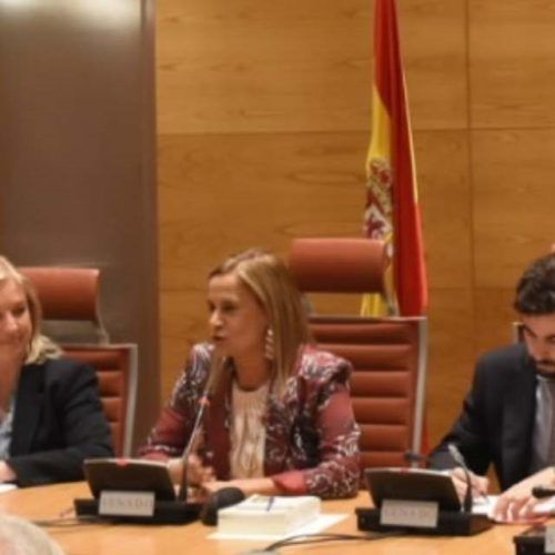 Carmela Silva (PSdeG-PSOE), nova presidenta da Comisión de Orzamentos do Senado