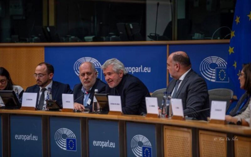 Parlamento Europeu debate sobre a participação dos portugueses no estrangeiro