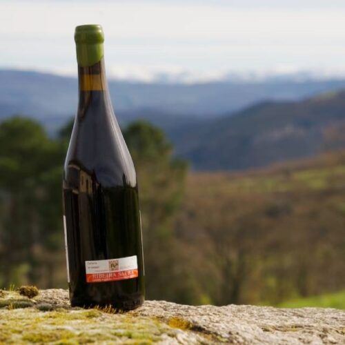 O viño galego deleitará na Feira ProWein de Düsseldorf