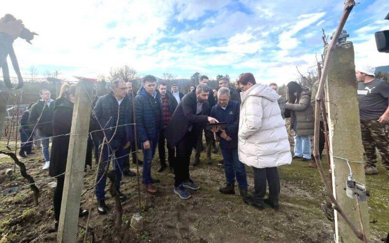 Dixitalización de dezasete mil parcelas de viñedos no Ribeiro