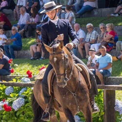 Ponte de Lima vai entrar na Associação de Municípios Portugueses do Cavalo