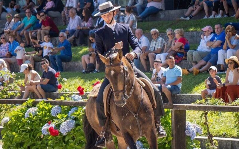 Ponte de Lima vai entrar na Associação de Municípios Portugueses do Cavalo