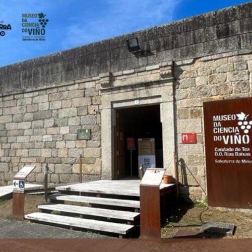 Xornada de portas abertas no Museo do Viño de Salvaterra
