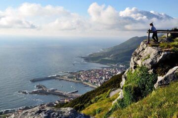 Voluntariado ambiental no Monte Trega