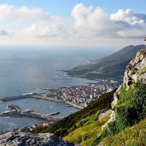 Voluntariado ambiental no Monte Trega