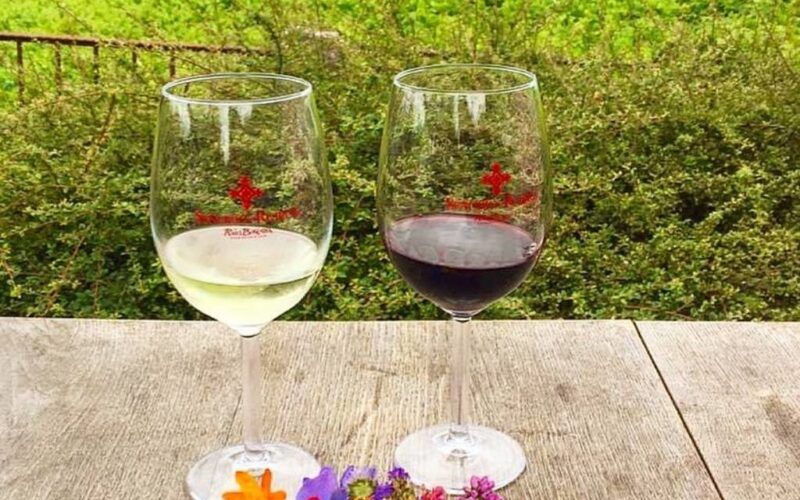 As Neves, de gala para a XIX Festa do Tinto Rías Baixas