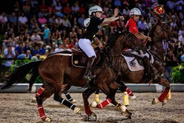 VII Jogos Equestres de Ponte de Lima