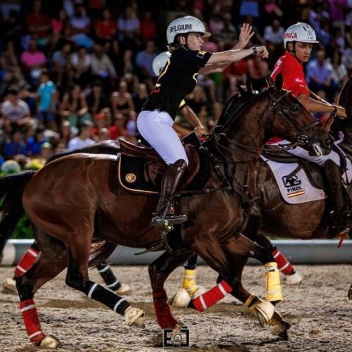 VII Jogos Equestres de Ponte de Lima