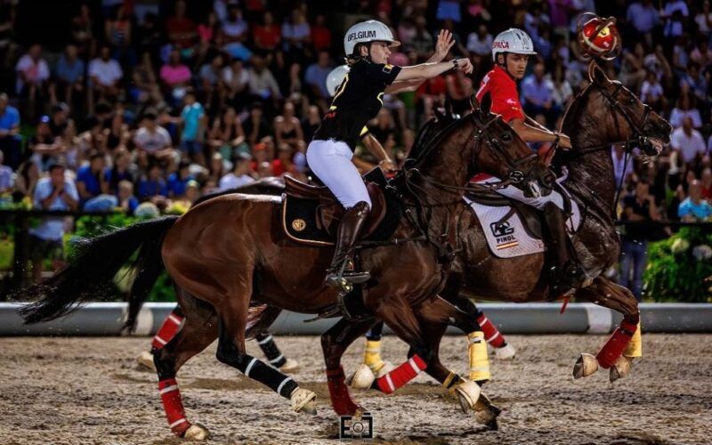 VII Jogos Equestres de Ponte de Lima
