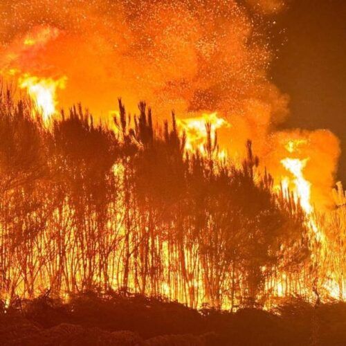 Mos e O Porriño mobilízanse en solidariedade cos afectados polos incendios