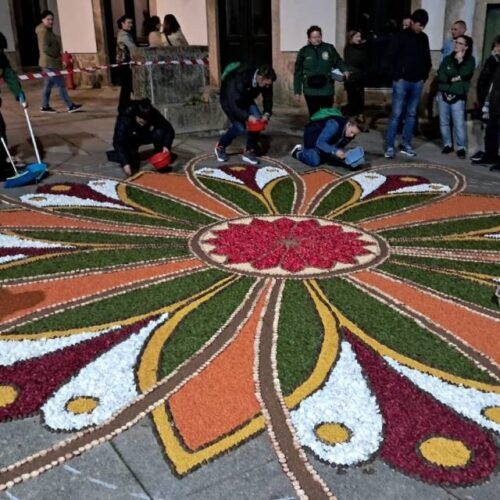 ‘Alfombreiro’, ‘auguista’ e ‘lubre’ entran no Dicionario da RAG