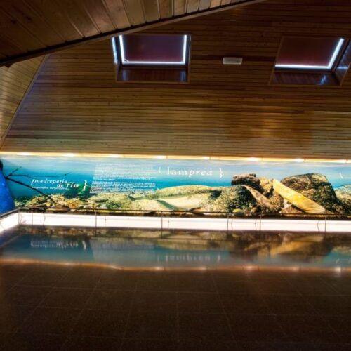 O Museo Arabo apostará polo sentido didáctico