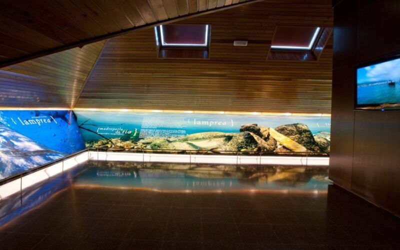 O Museo Arabo apostará polo sentido didáctico