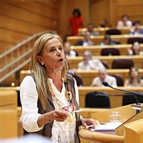PSOE e PP avalan no Senado unha moción contra a violencia machista