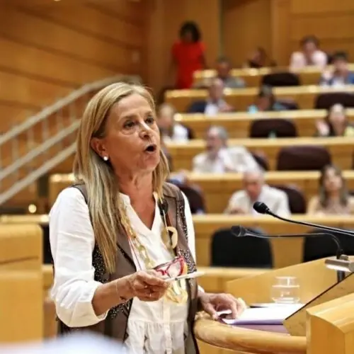 PSOE e PP avalan no Senado unha moción contra a violencia machista