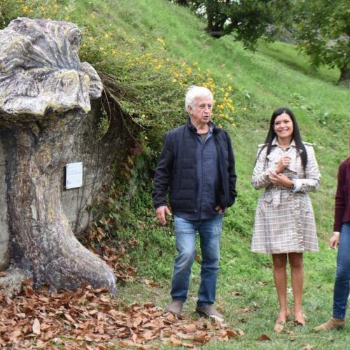 A cultura micolóxica mosense xa ten o seu monumento