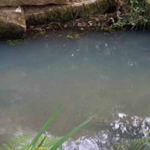 BNG do Porriño: “O PP oponse a evitar a contaminación do río Fonteliño”