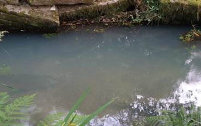 BNG do Porriño: “O PP oponse a evitar a contaminación do río Fonteliño”