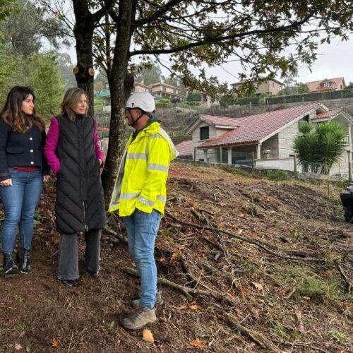 Ponteareas contrata á empresa Silvareira para execucións subsidiarias