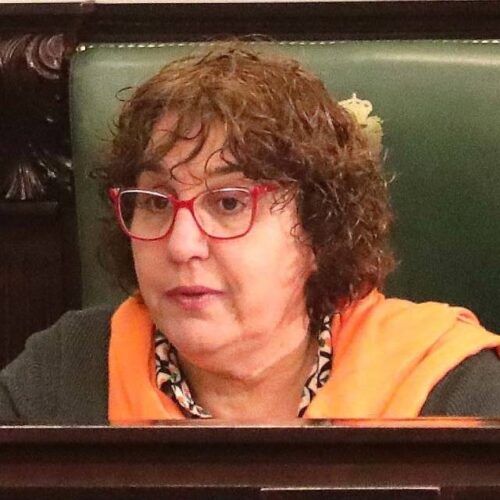 BNG: “A Deputación de Pontevedra celebrará un 25N ‘curta de miras”