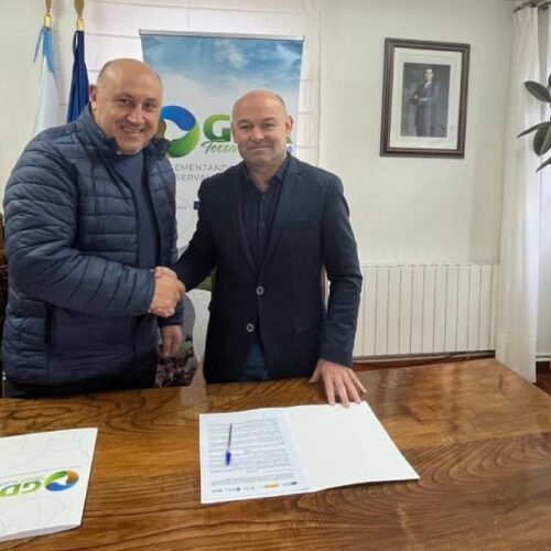 Modernización do Museo Arabo