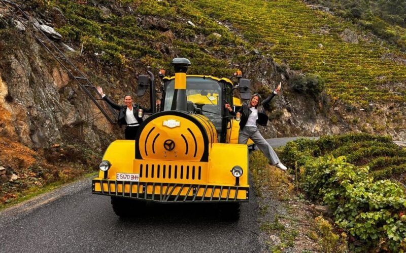 O tren Aba Sacra percorre os viñedos de Amandi
