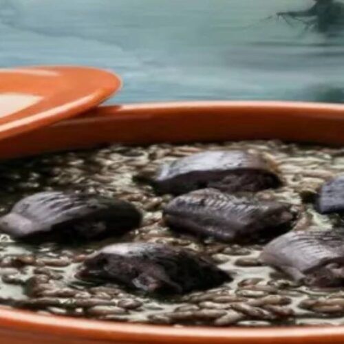 Valença acolhe a iniciativa “A Lampreia do Rio Minho -Um prato de excelência!”