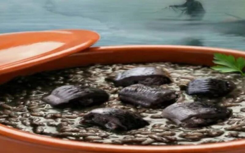 Valença acolhe a iniciativa “A Lampreia do Rio Minho -Um prato de excelência!”